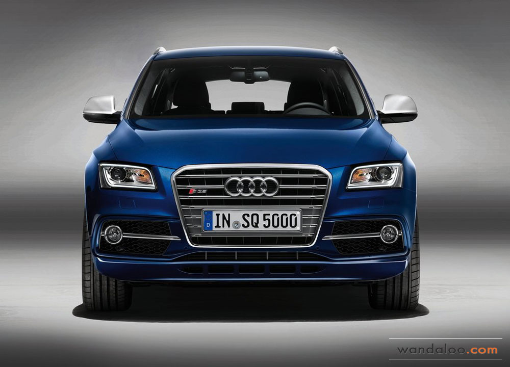 Audi-SQ5-TDI-2013-03.jpg
