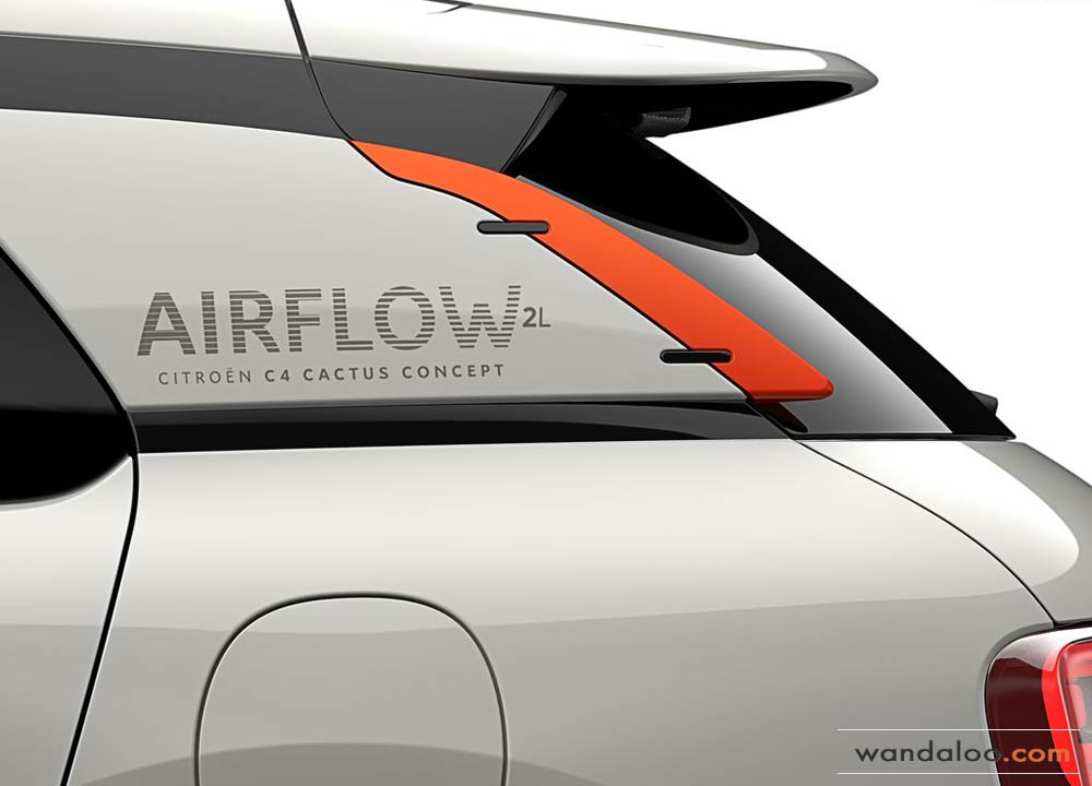 https://www.wandaloo.com/files/2014/09/Citroen-C4-Cactus-Airflow-2L-Concept-2014-01.jpg