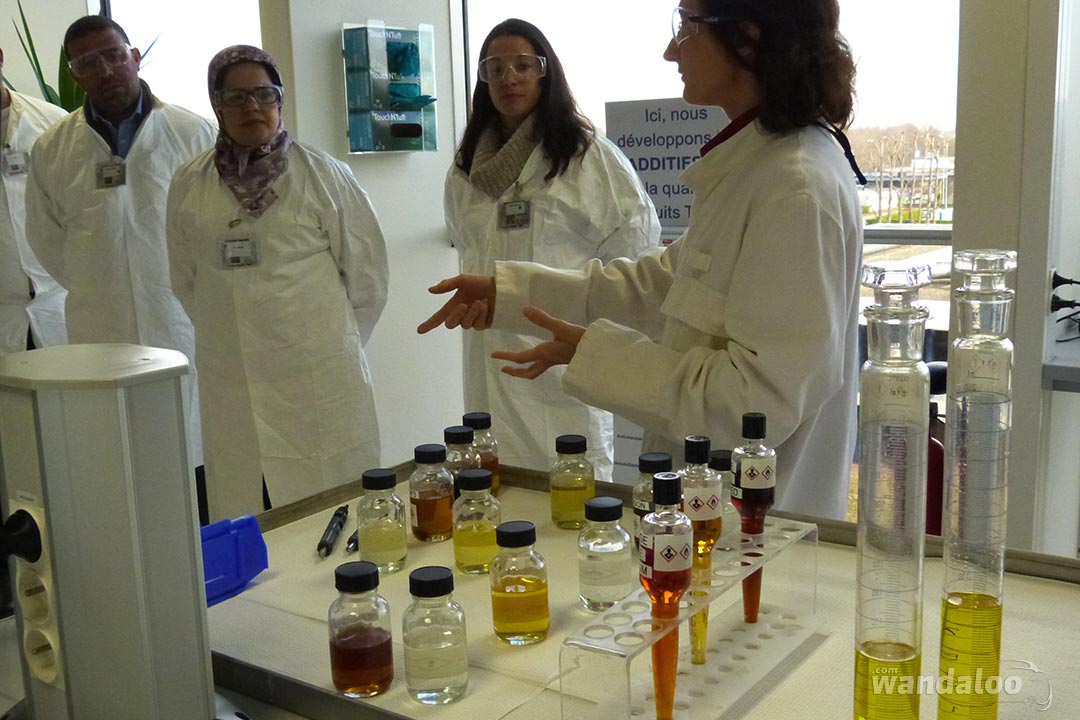 Visite-Presse-Maroc-Centre-Recherche-Total-Soleize-Lyon-2017-09.jpg