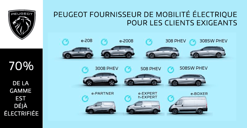 https://www.wandaloo.com/files/2021/07/Gamme-Electrifiee-PEUGEOT-2021.png