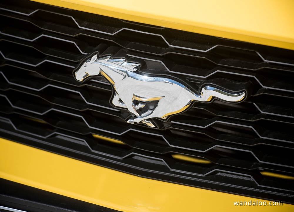 https://www.wandaloo.com/files/Voiture-Neuve/ford/Ford-Mustang-2015-neuve-Maroc-18.jpg